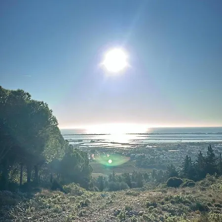 Solea Bord De *
