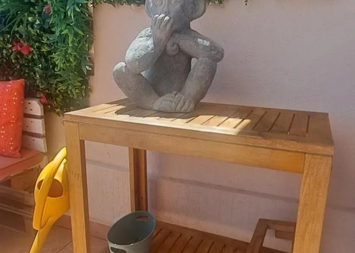 Solea Bord De Apartament *